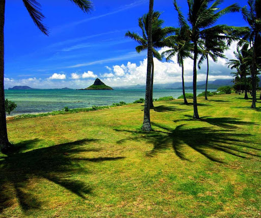 免費下載解謎APP|ハワイ島のパズル app開箱文|APP開箱王