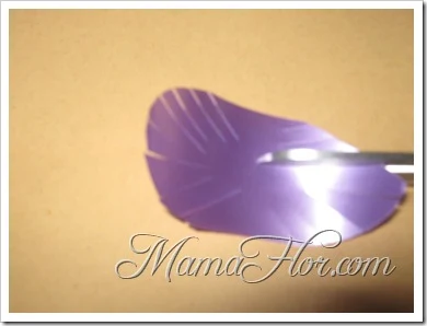 mamaflor-2373