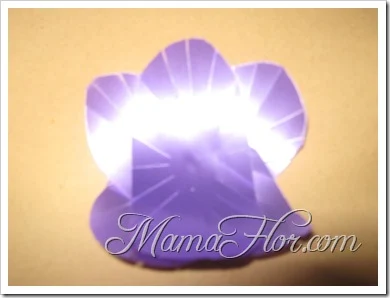 mamaflor-2375