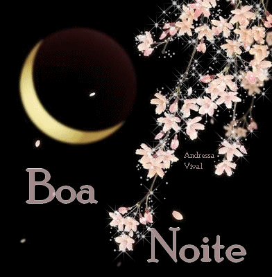 bnoite.png