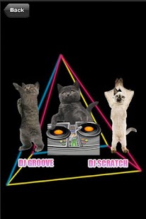 How to install Cat Dance Party patch 1.0 apk for bluestacks