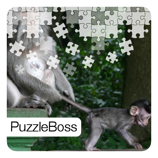 Bali Jigsaw Puzzles LOGO-APP點子