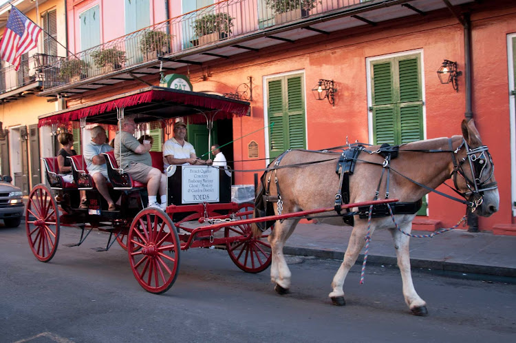 A carriage ride in the French Quarter of New Orleans. 