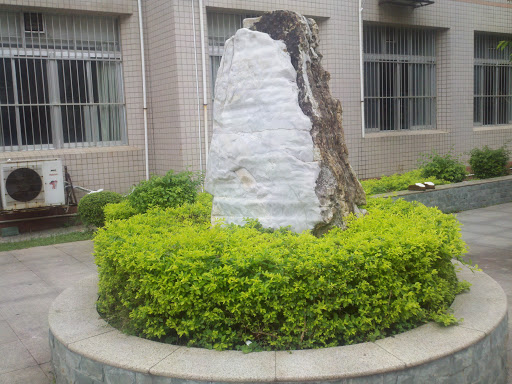 A Big Stone with Plants Around it