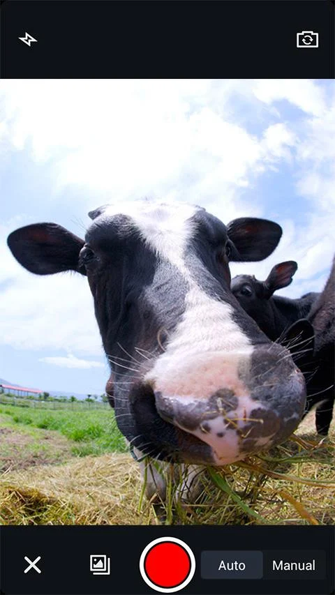 GIF Camera - screenshot