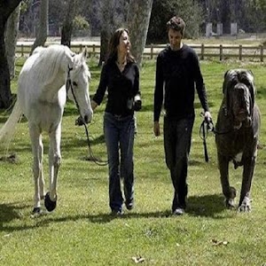 Funny Pictures 3.apk 1.0