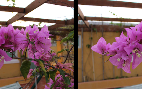 Nexus Media Importer - screenshot thumbnail