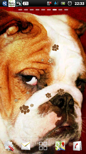 How to get Bulldogs Live Wallpaper 1.0.9 unlimited apk for bluestacks
