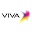VIVA Network Report Download on Windows
