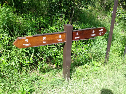 Ching Fai Tong Trail Junction 風門坳