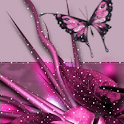 Purple Butterfly Live Wallpape