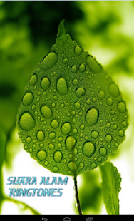 Suara Alam Ringtones Screenshots 2