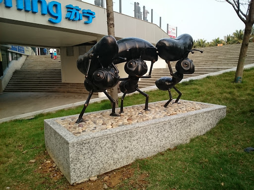 Worker Ants | 工蚁