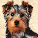 Red Rose n Yorkshire Dog logo