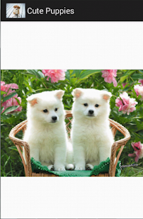 cute puppies Screenshots 0