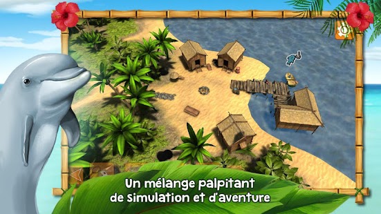 Dolphins of the Caribbean Screen 2
