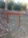 Casuarina Park