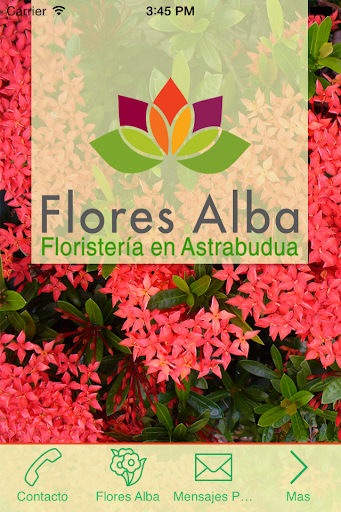 FLORES ALBA