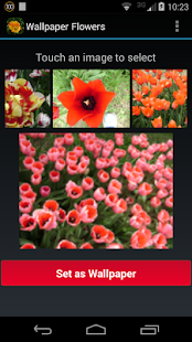 How to install Wallpaper Flowers patch 1.0 apk for bluestacks