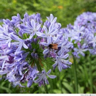 沐心泉休閒農場