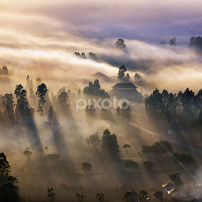 An Early Morning at Desa Pinggan by Eggy Sayoga - Landscapes Prairies, Meadows & Fields