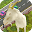 Goat Insanity: Run Download on Windows
