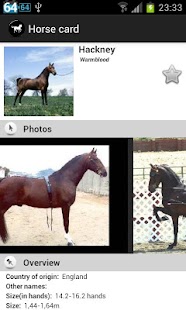 Free Download Horse Breeds FREE APK