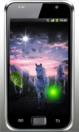 Horses Best HD live wallpaper