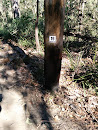 Mountain Bike Trail Marker 19