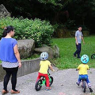 漫步雲端森林廚房