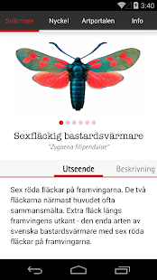 Free Download Bastardsvärmare APK