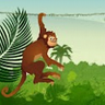 Jumping Monkey icon