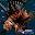 FWC Florida Lionfish Download on Windows