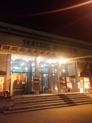Teatru Municipal Baia Mare