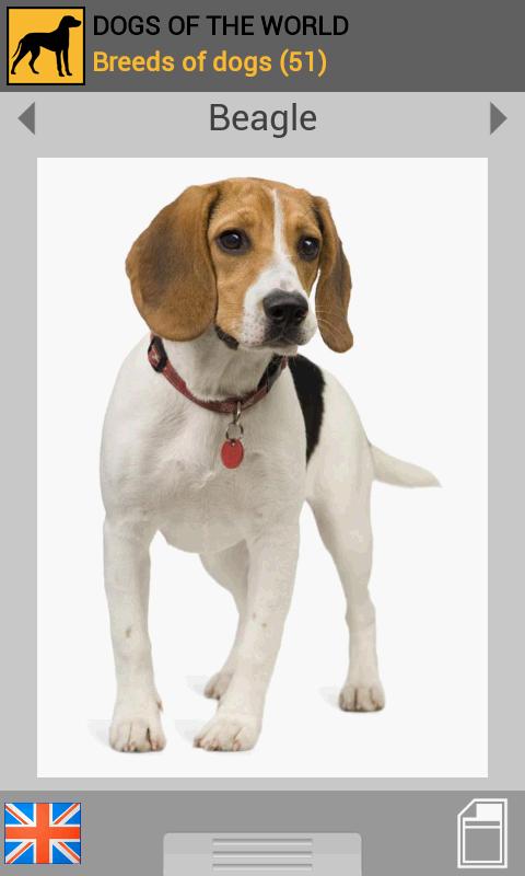 Android application Dogs of the world (Premium) screenshort