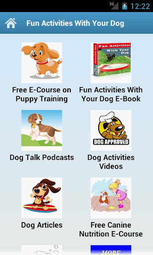 Fun Activities With Your Dog