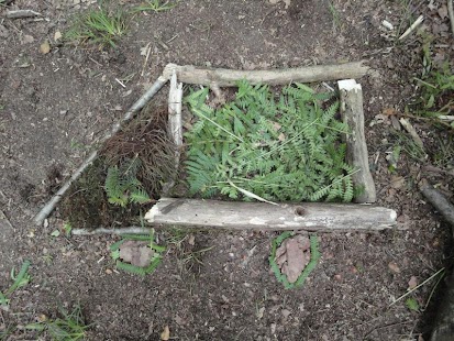 Il Gigante Mangialberi Screenshots 1