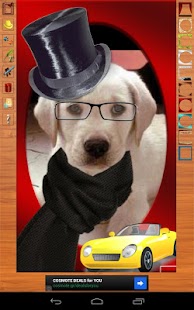 Free Dress Up My Pet APK