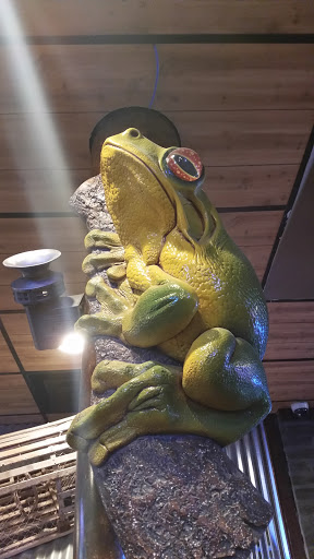 Angry Frog 