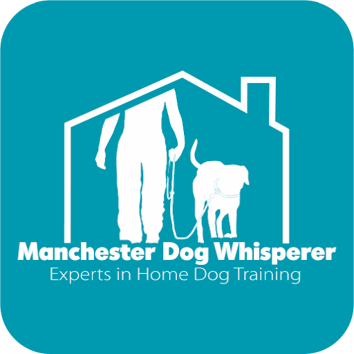 Manchester Dog Whisperer