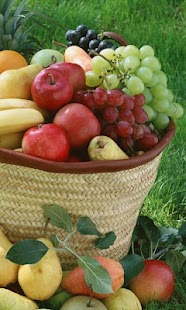 How to install Fruits HD LWP Lite 1.0 apk for bluestacks