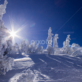 Winter Beauty by Tracey Dolan - Landscapes Mountains & Hills