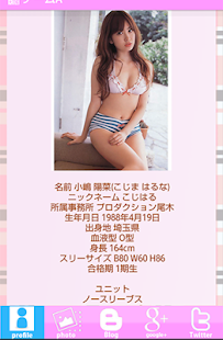 How to install AKB大図鑑 4.08 mod apk for laptop