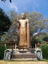 Buddha Statue Nawala Siri Siddhartharama Temple