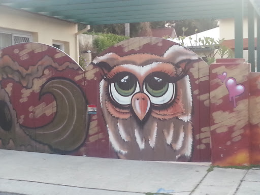 Attfield St. Owl Mural