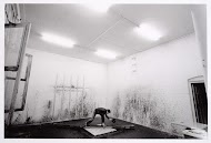 Jerry Keizer in zijn atelier