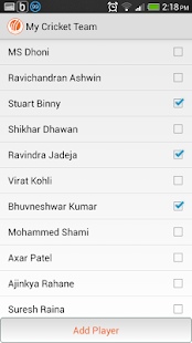 My Cricket Team Screenshots 4
