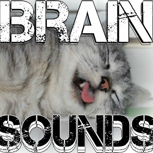 Brain Sounds Binaural Beats.apk 1.0.6