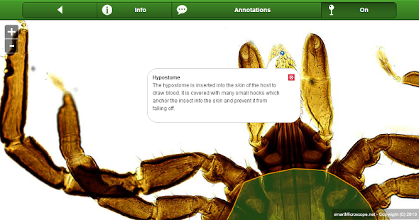 smart Microscope Screenshots 2