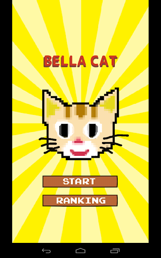 Bella Cat